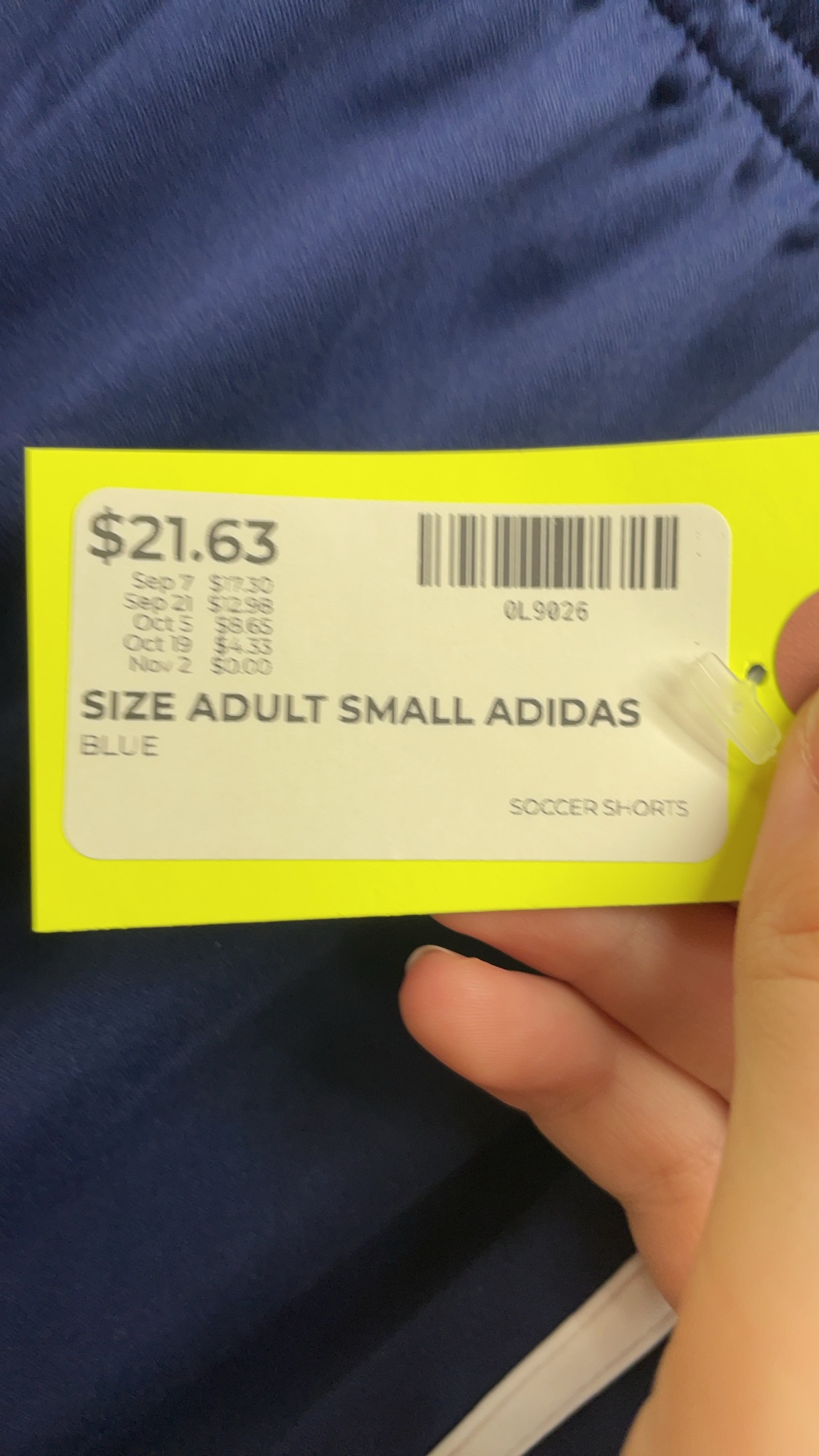 Adidas Blue Soccer Shorts