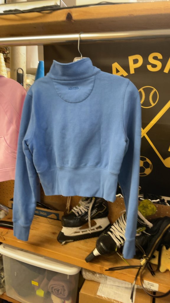 Aritzia Blue Quarter-Zip Cropped Sweatshirt