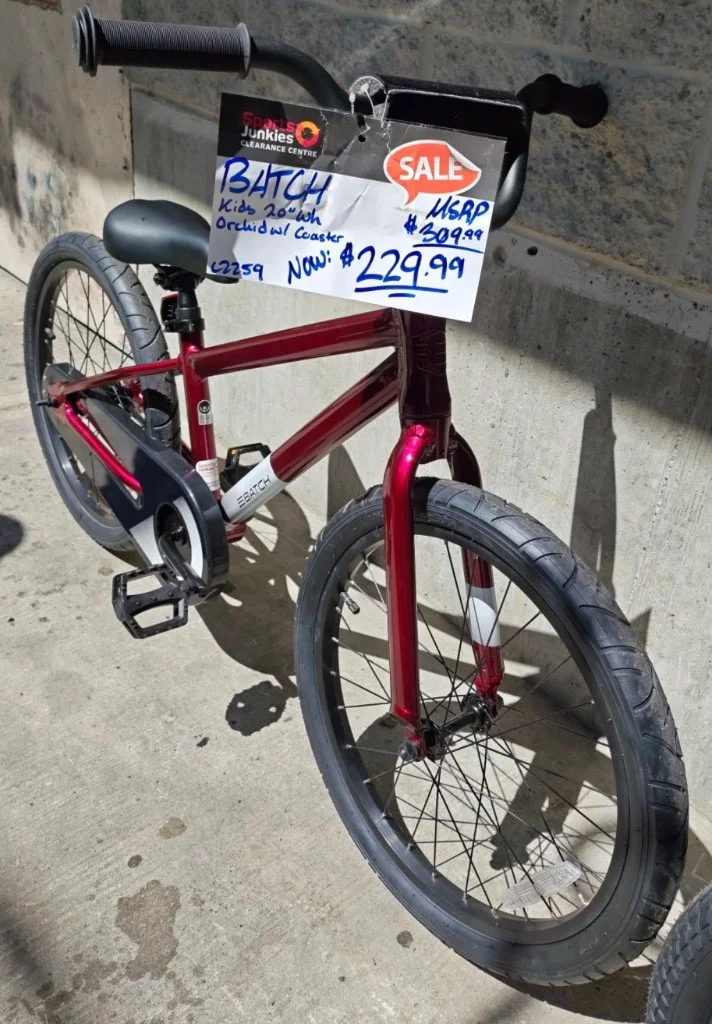 Batch The Kids' 20" Bicycle Orchid Coaster Brake Excellent Condition 20" - image 2