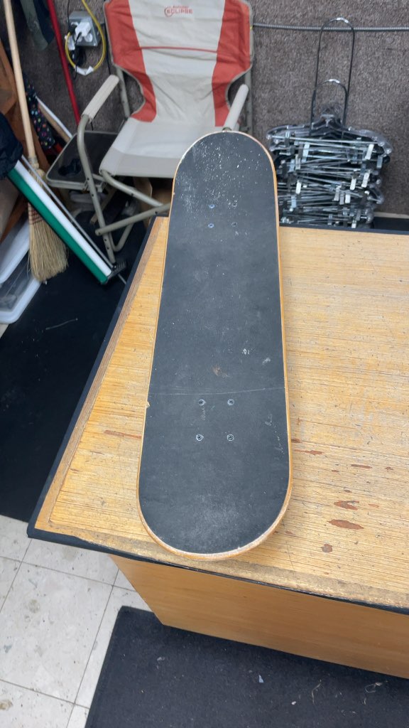 Bear Skateboard with Panda Graphic