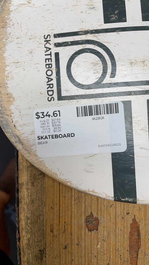 Bear Skateboard with Panda Graphic
