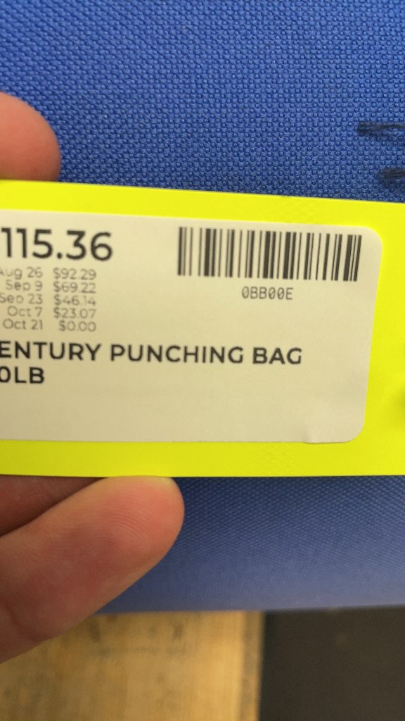Century 40lb Punching Bag