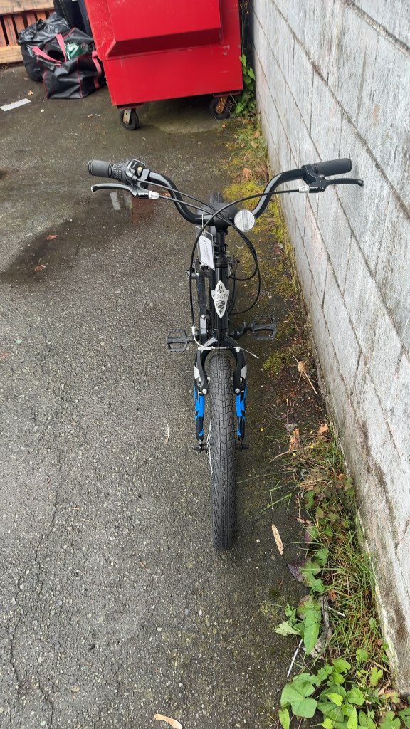 Electra Kids' Cruiser Bike 20" Black/Blue Excellent Condition