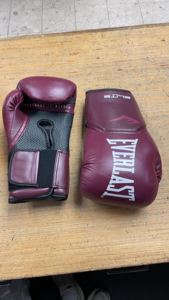 Everlast Elite Training Boxing Gloves - 12 oz