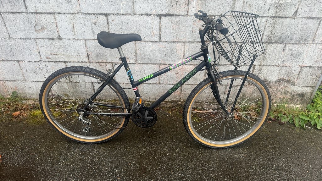 Free Spirit Mountain Bike 18 Speed Black Used 26"