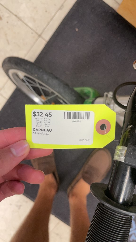 Garneau Kids' Bike - Green/Grey