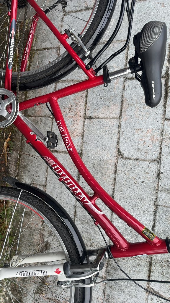 Infinity Boss H-Four Hybrid Bike Red Used