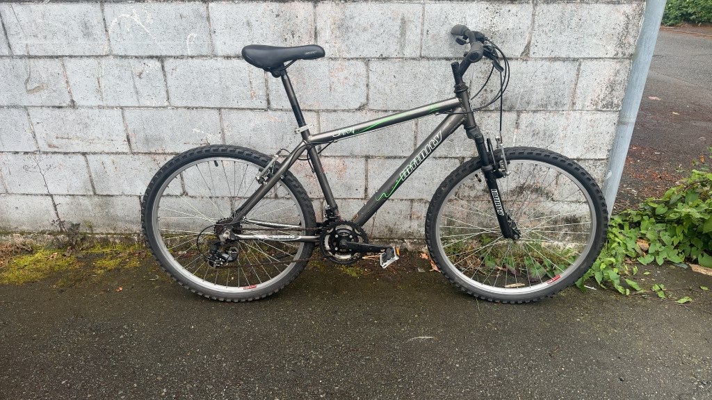 Infinity Mountain Bike Canyon Grey Used 26"