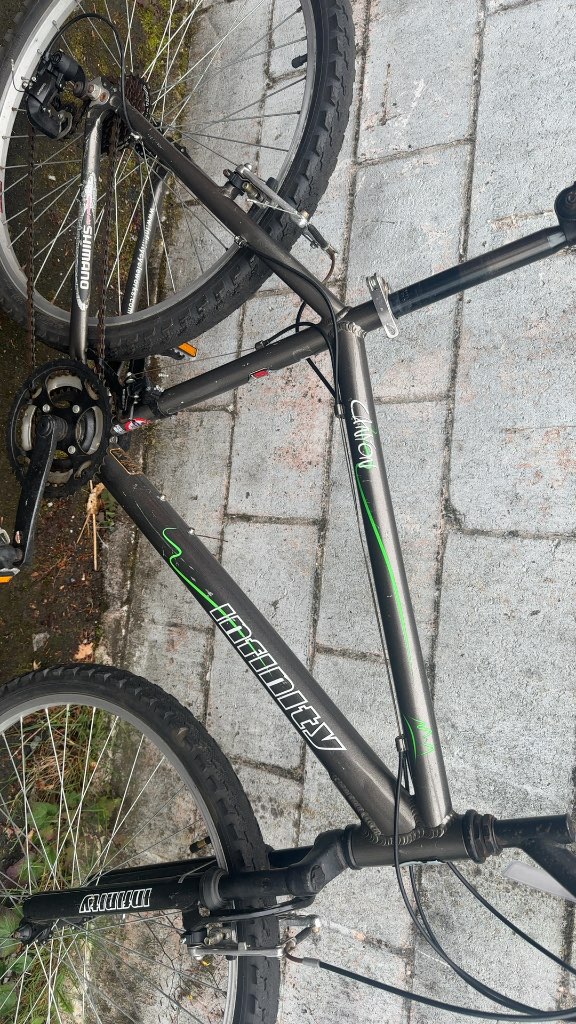 Infinity Mountain Bike Canyon Grey Used 26"