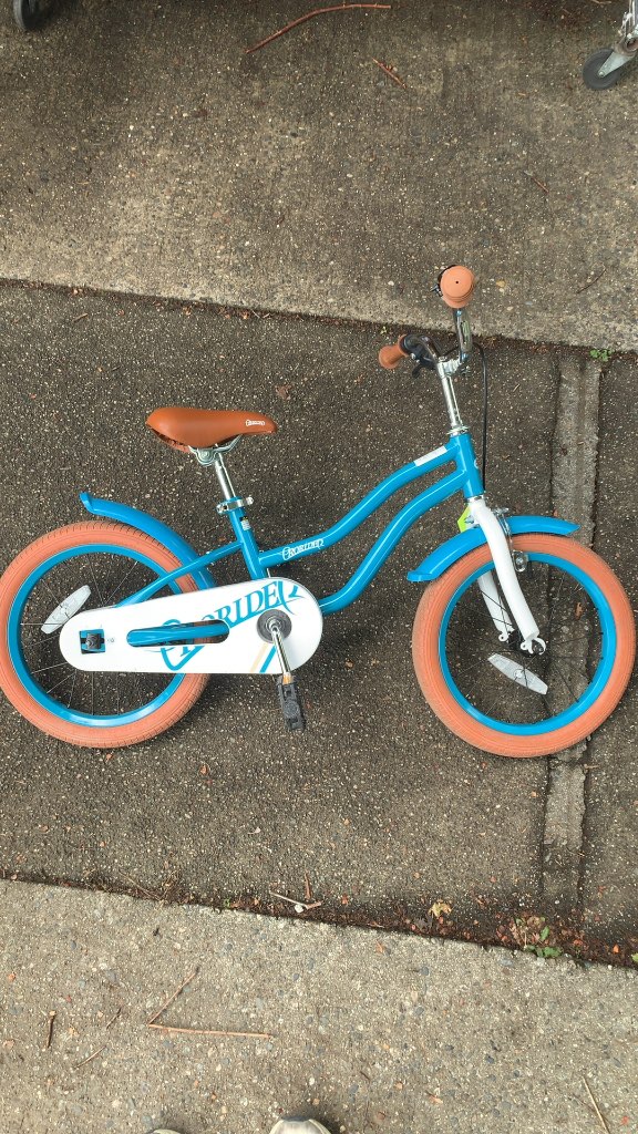 Joyride 16" Kids Bike with Training Wheels