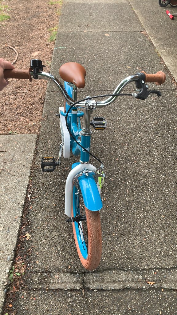 Joyride 16" Kids Bike with Training Wheels