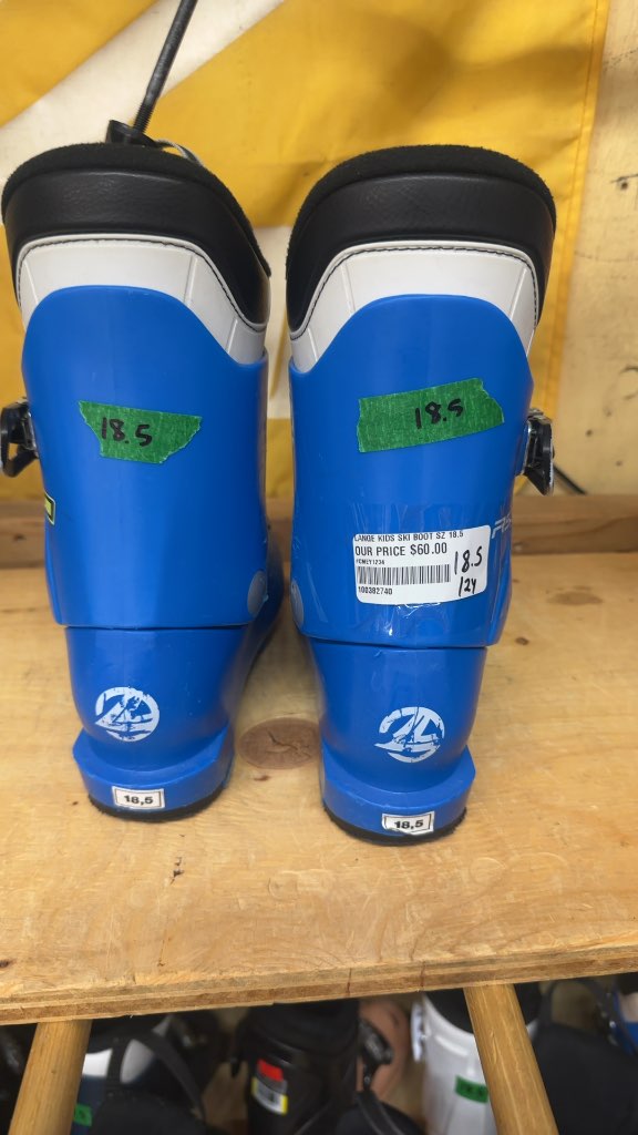 Lange RSJ 50 Kids Ski Boots Blue Used Size 18.5