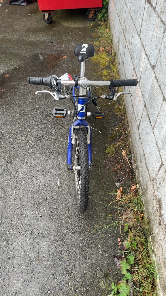 Louis Garneau F-20 Kids Mountain Bike Blue Used 20"