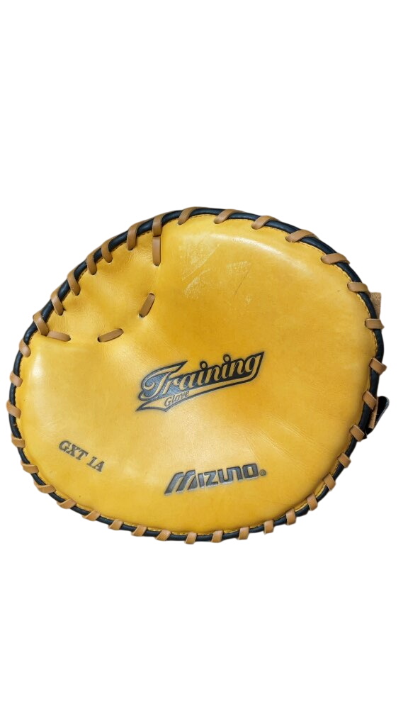 Mizuno GXT 1A Training Practice Baseball Glove - image 1