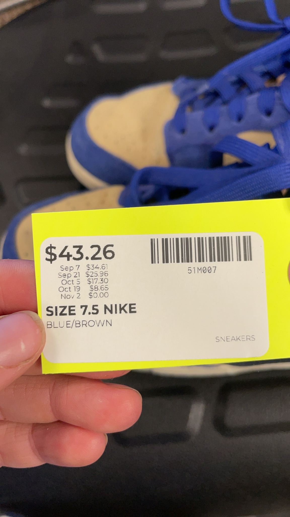 Nike Dunk Low Blue/Brown Sneakers - Size 7.5
