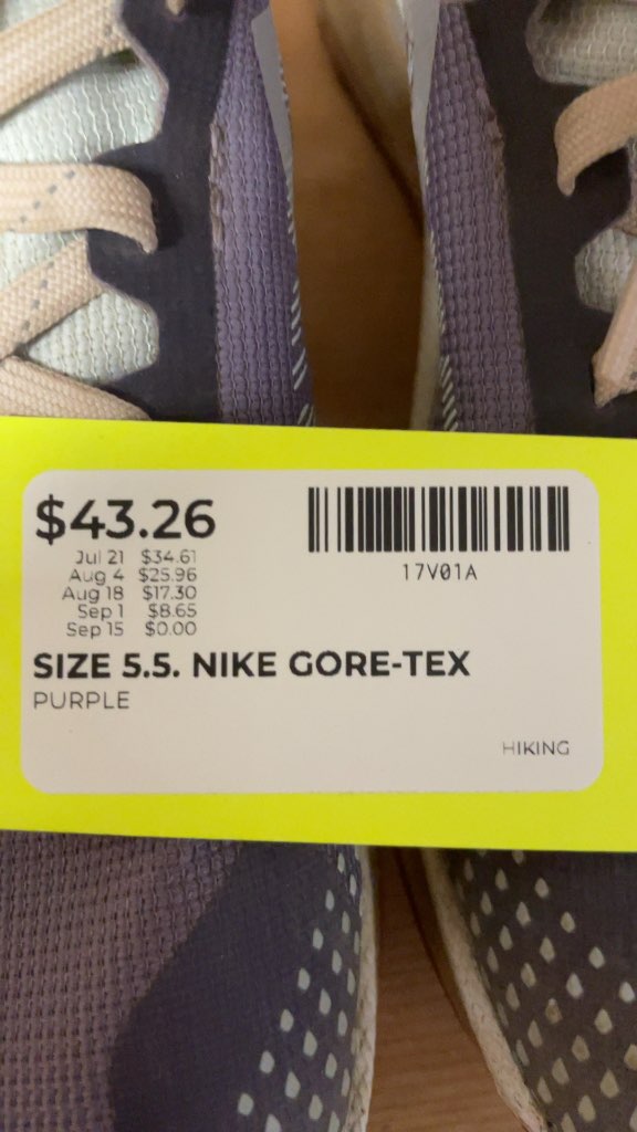 Nike Pegasus Trail 4 GORE-TEX Women's Running Shoes - Size 5.5