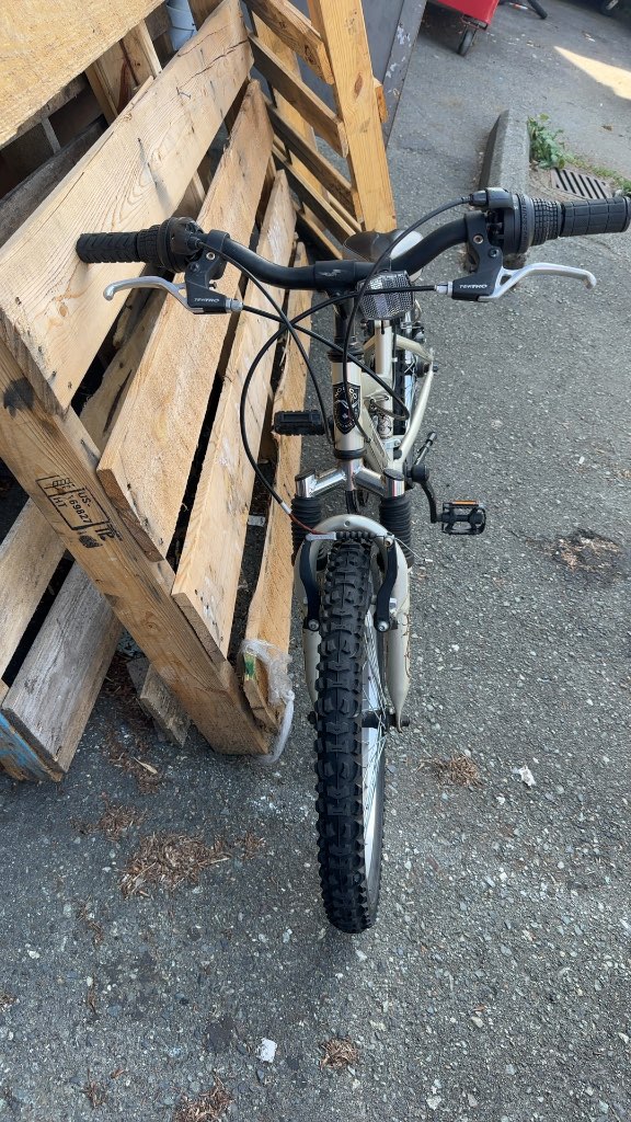 Norco Diva 24" Youth Mountain Bike - Champagne