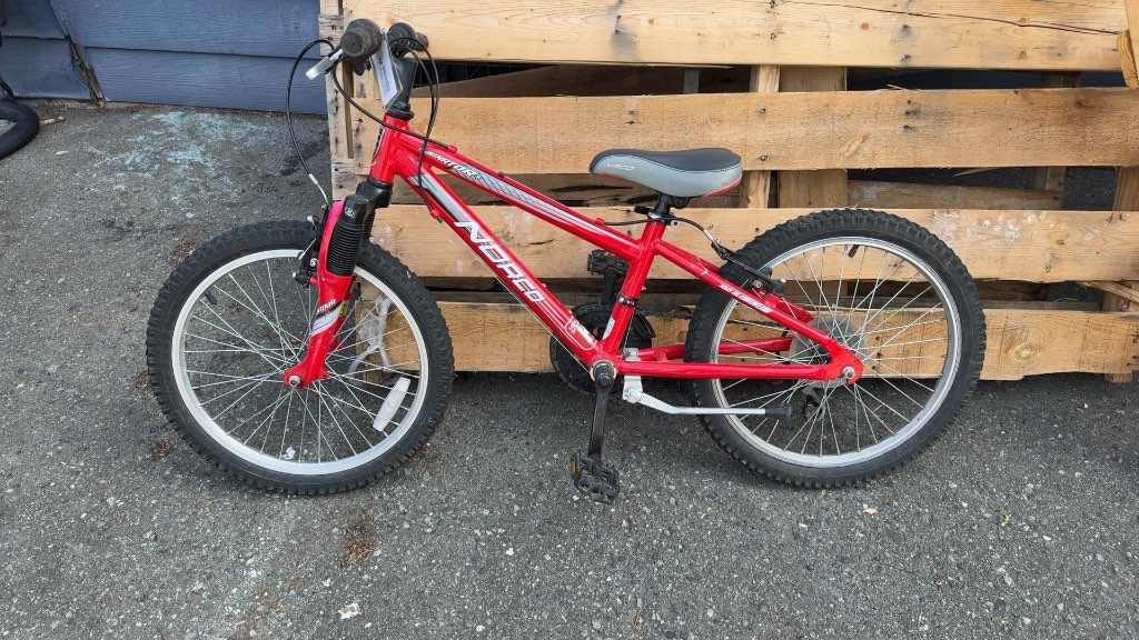 Norco Eliminator 20" Kids' Mountain Bike - Red