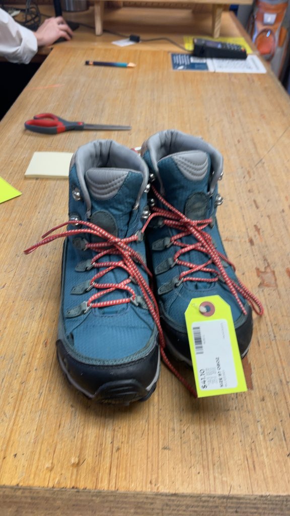 Oboz Hiking Boots