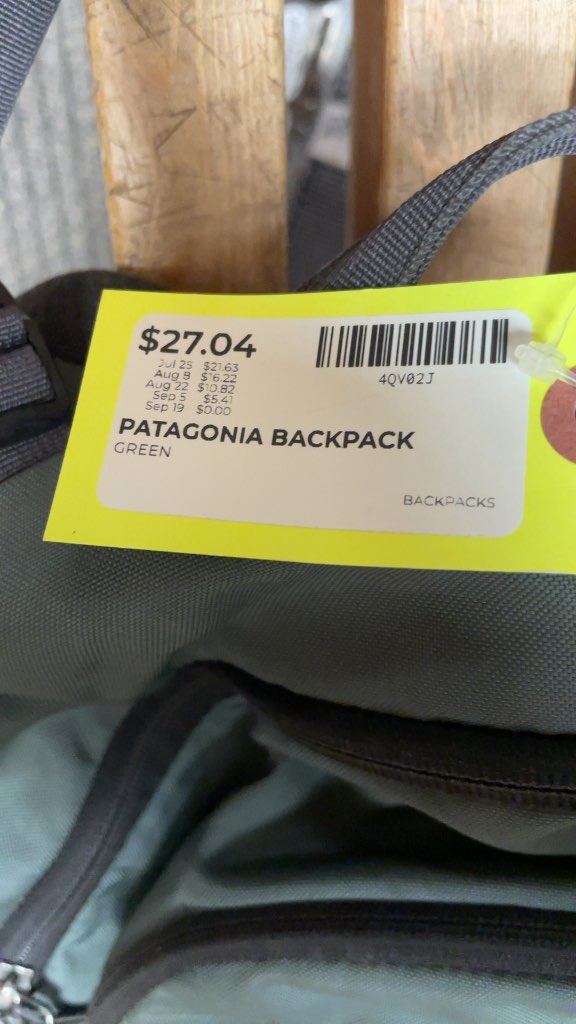 Patagonia Paxat 32L Backpack - Green