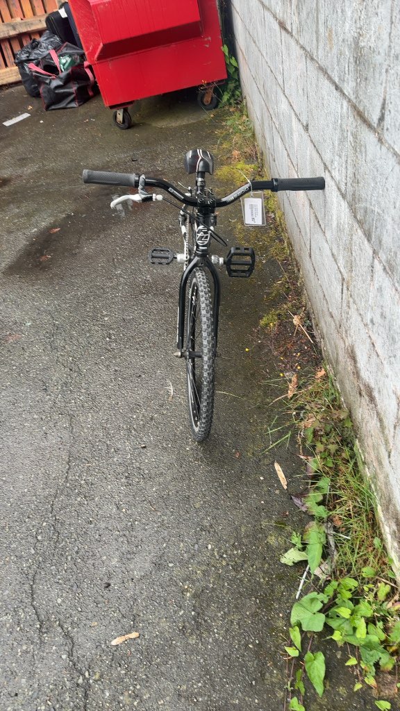 Redline Proline Racing BMX Bike 20" Used