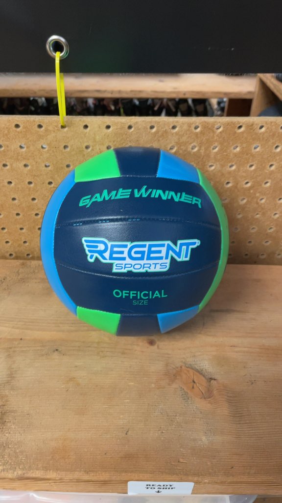 Regent Sports Game Winner Official Size Volleyball