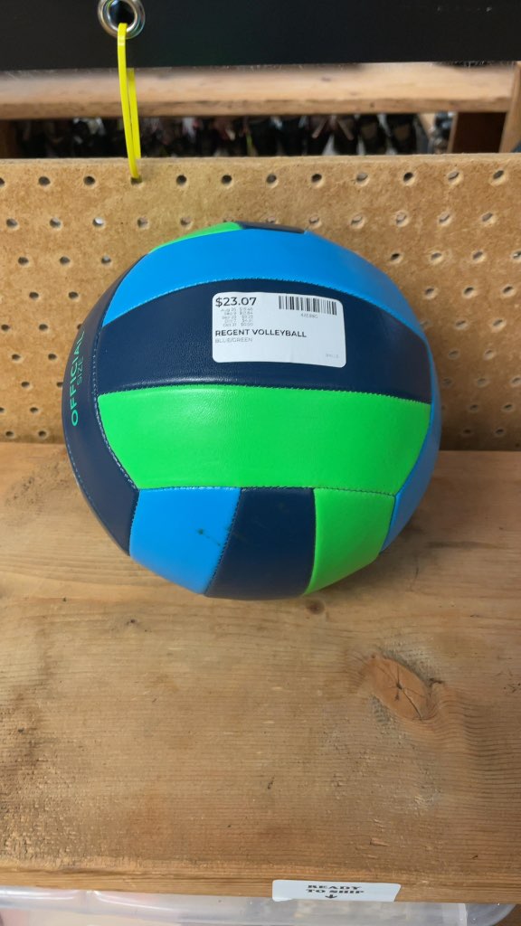 Regent Sports Game Winner Official Size Volleyball