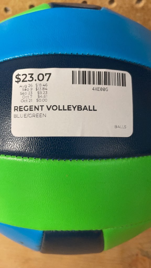 Regent Sports Game Winner Official Size Volleyball