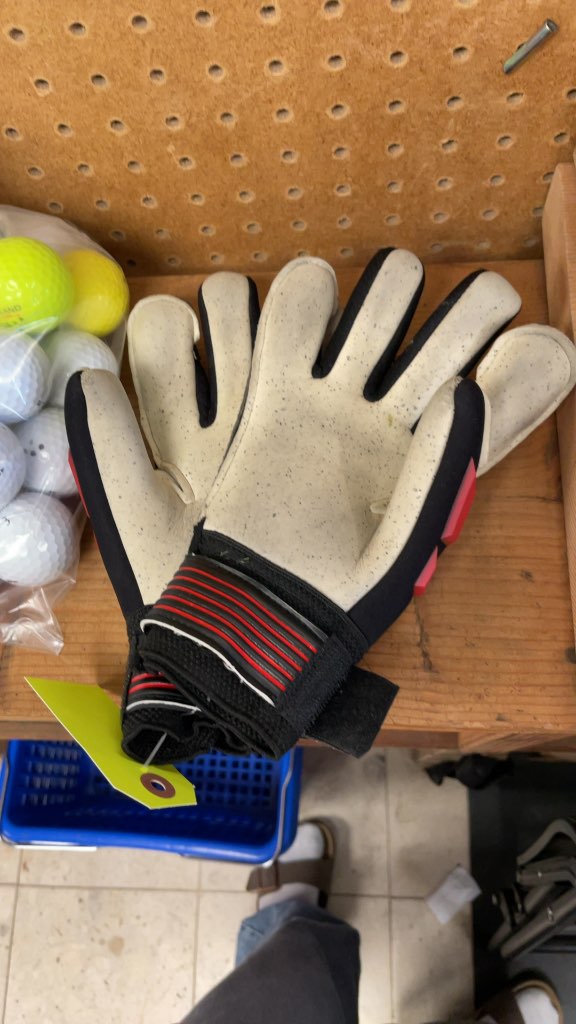 Sporteck Goalie Gloves