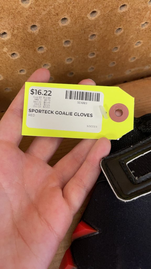 Sporteck Goalie Gloves