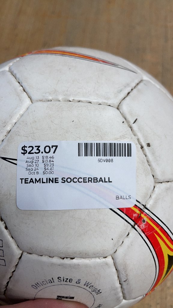 Teamline Soccer Ball Size 5