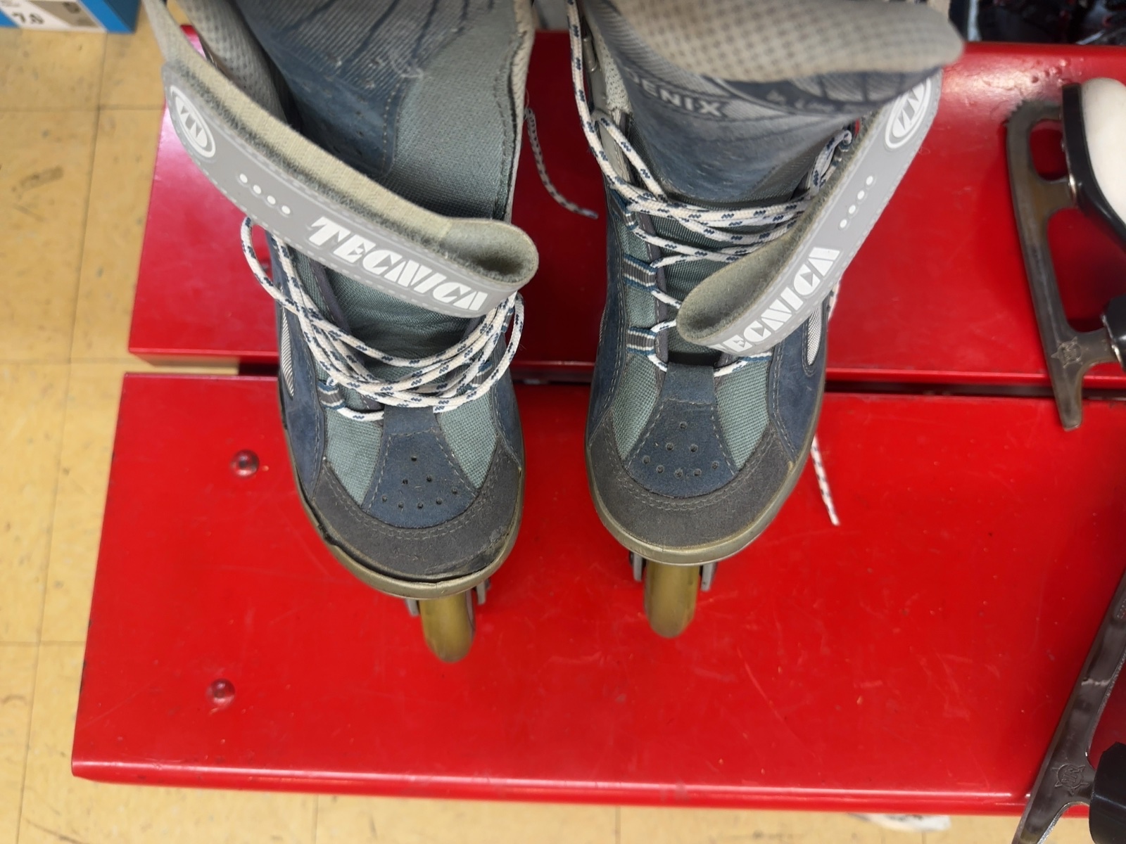 Tecnica Phoenix Women's Inline Skates - Size 8
