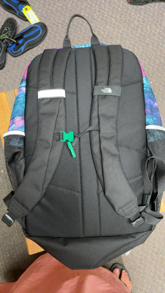The North Face Blue and Purple Patterned Backpack
