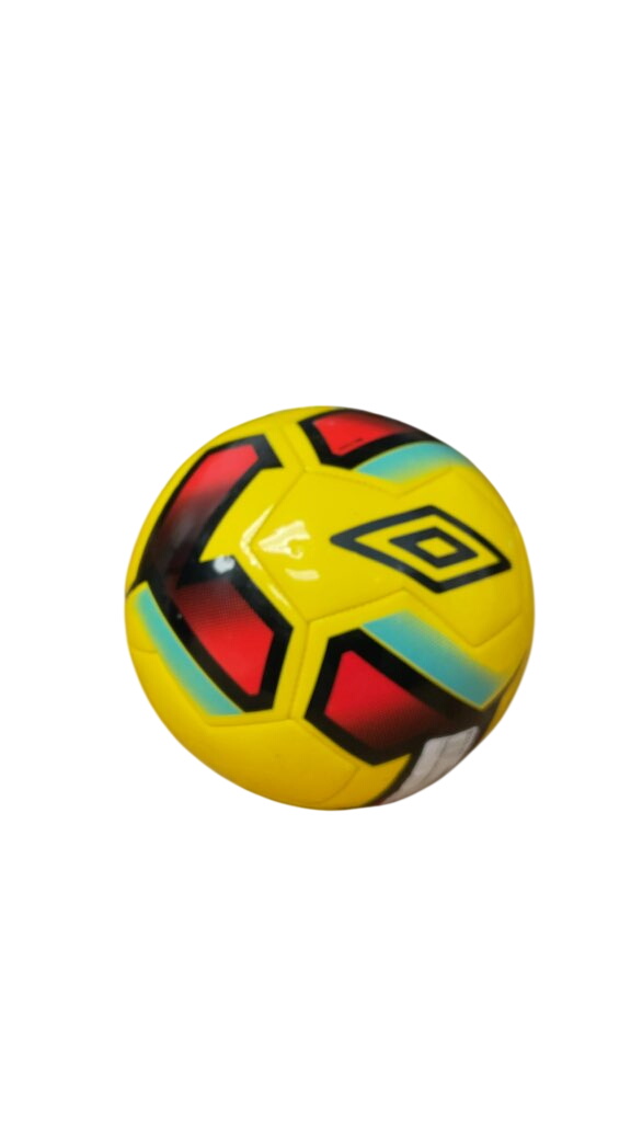 Umbro Size 5 Training Soccer Ball
