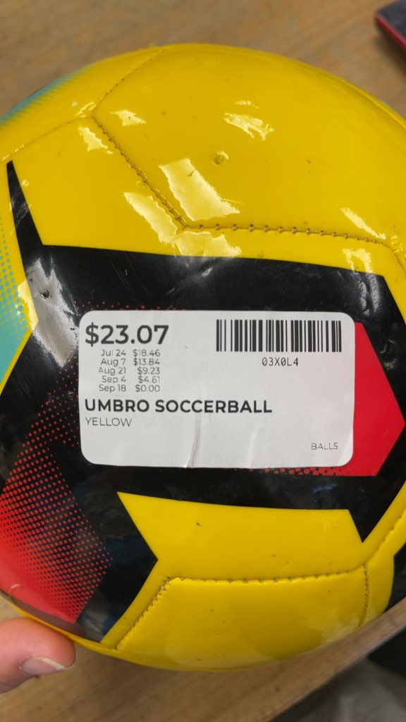 Umbro Size 5 Training Soccer Ball