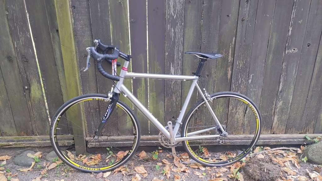 Jake the Snake Road Bike Custom Silver Limited Edition