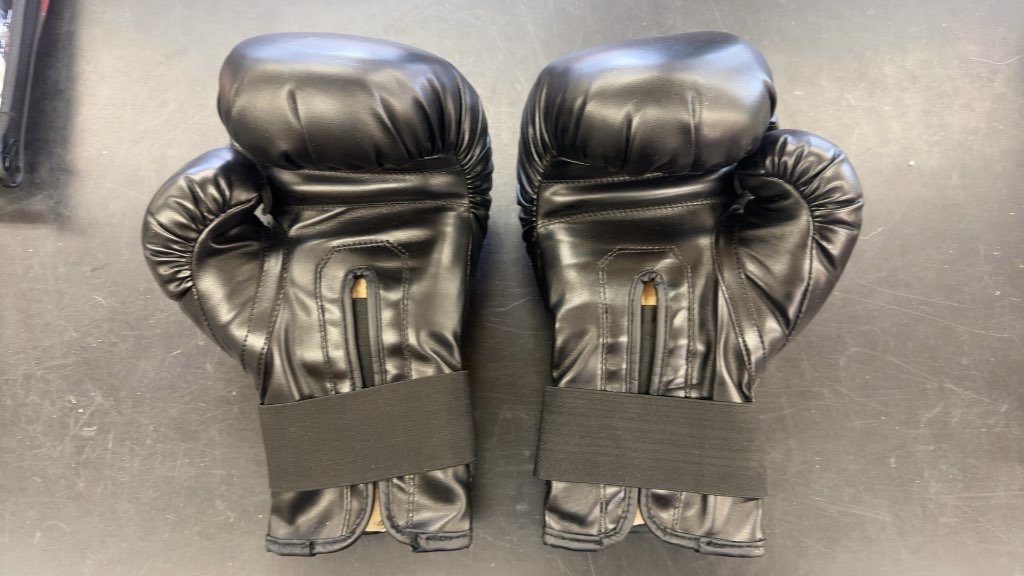 Sateen Boxing Gloves Champions Way of Life Black Good Condition 16oz