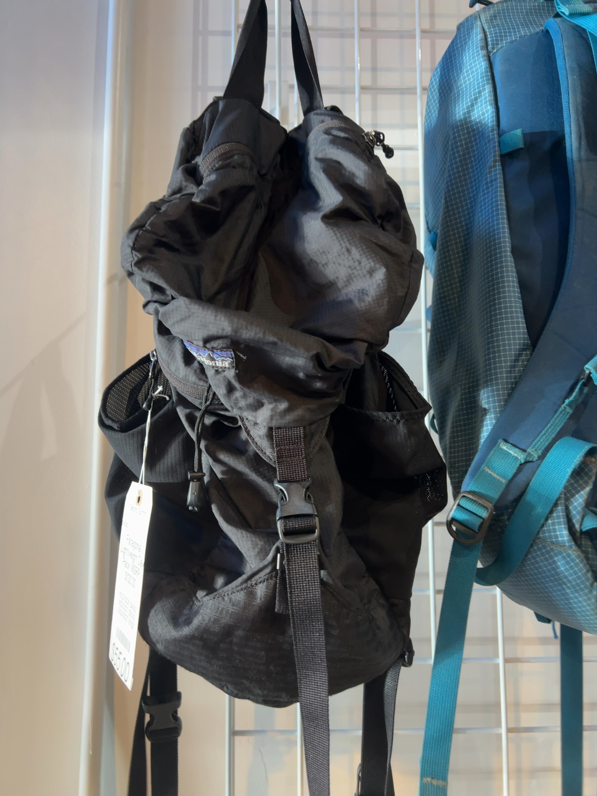 Patagonia Lightweight Travel Day Pack Good