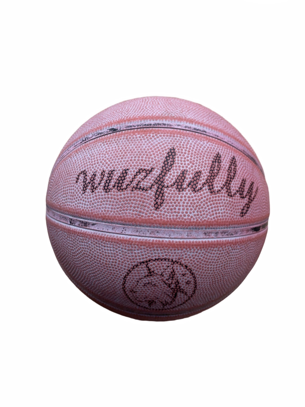 Wiszfully Junior Basketball 27"