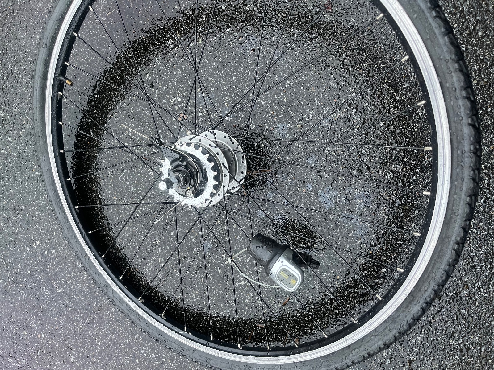 Shimano Nexus Rear Wheel With 8-Speed Internal Hub and Shifter 700C 10x141 QR