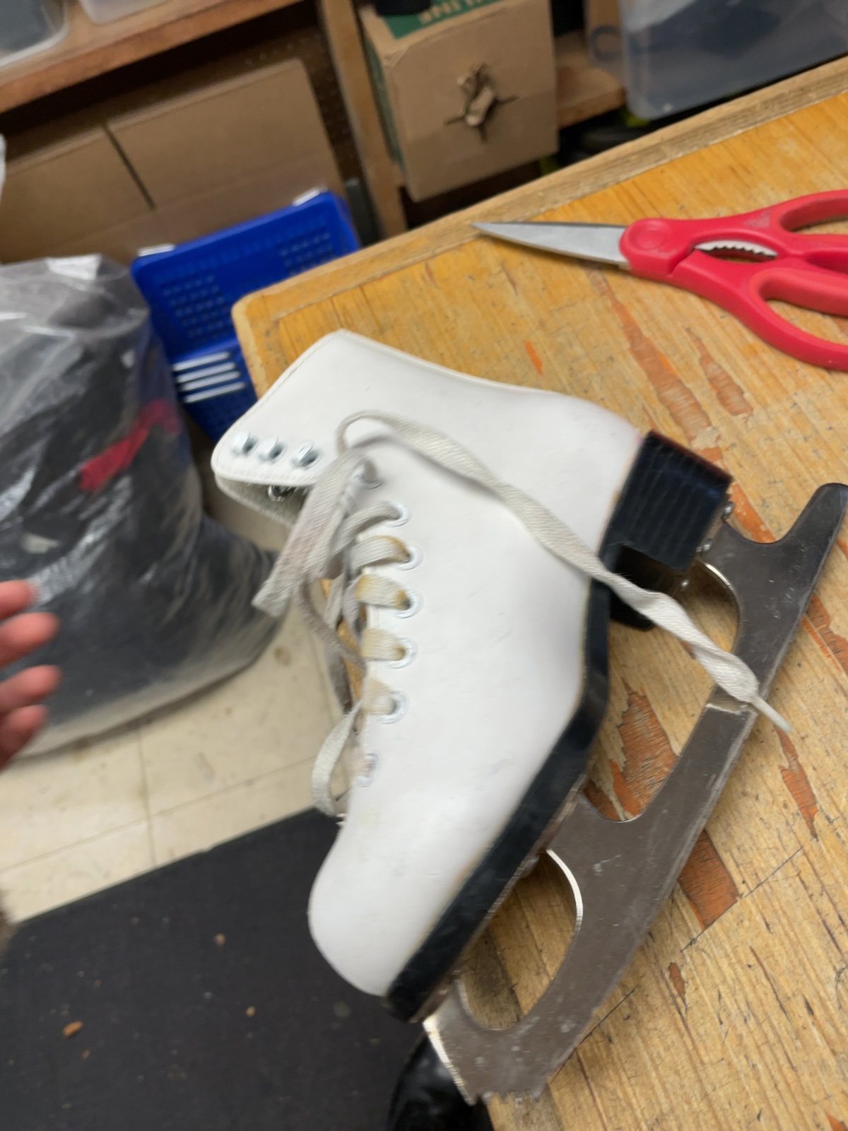 SP Jamie Sale & David Pelletier Size 11 Figure Skates White