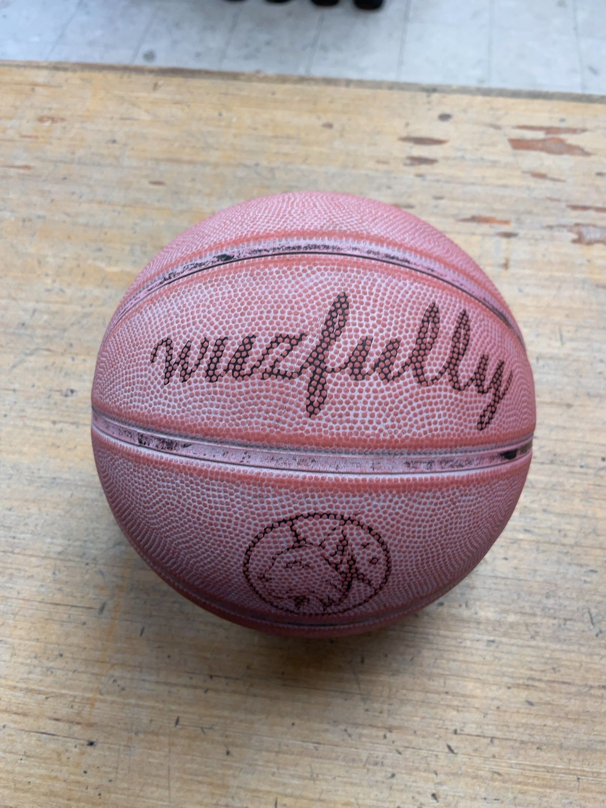 Wiszfully Junior Basketball 27"
