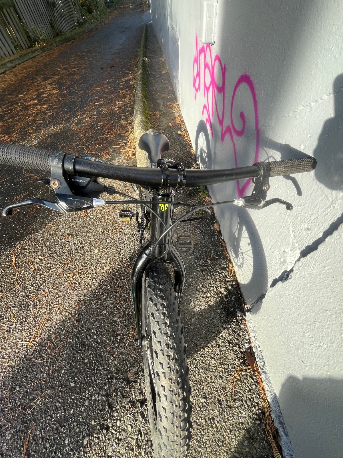 Trek Roscoe 20 Kids Fat Bike Rigid Mechanical Disc Black Good