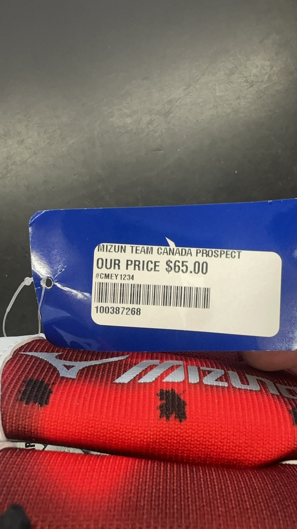 Mizuno Team Canada Prospect 11" Baseball Glove - GPP 1107P
