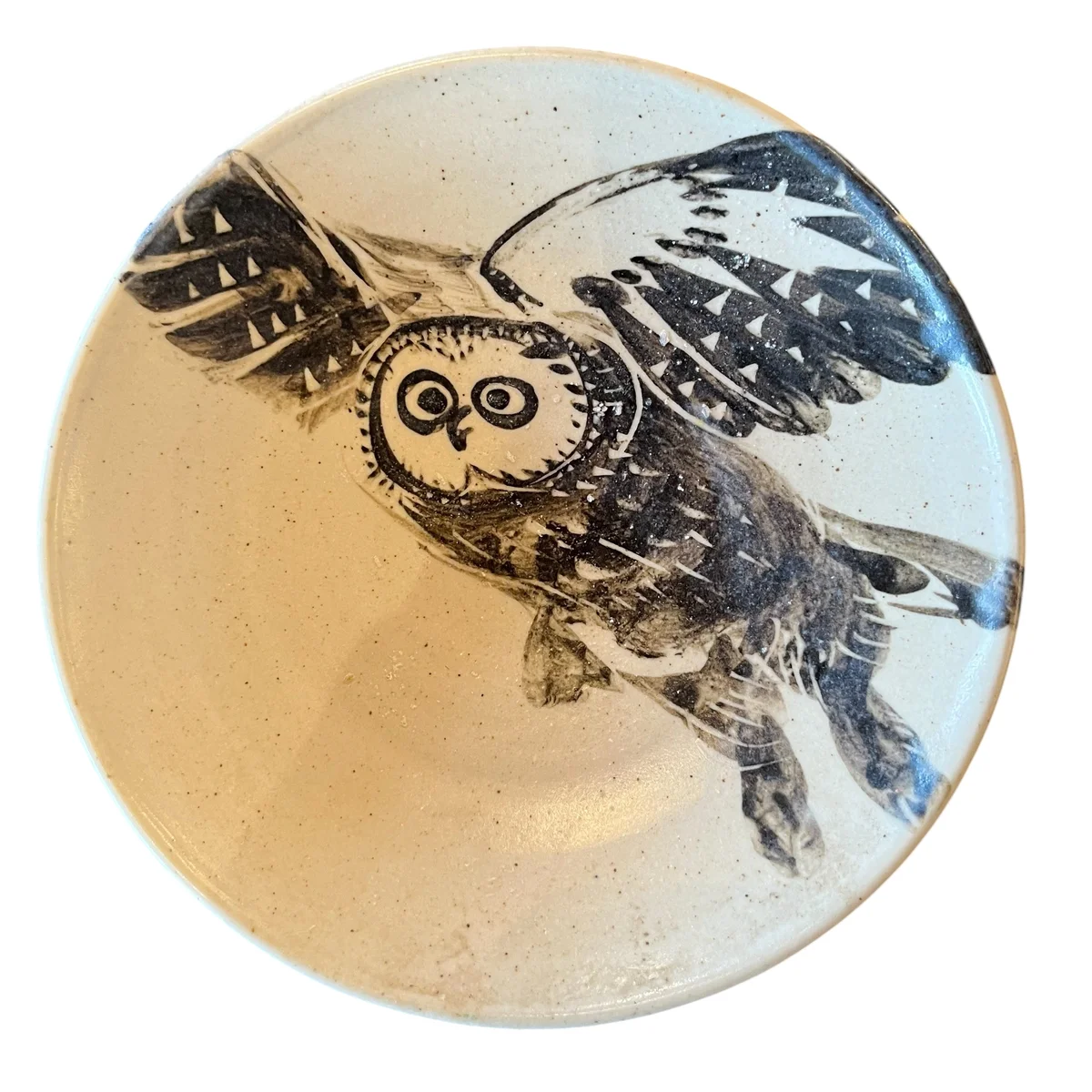 new-wayne-ngan-owl-plate-coast-consignment image 1